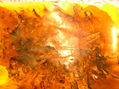 Pintura Asfáltica Y Acrílico  VIII
