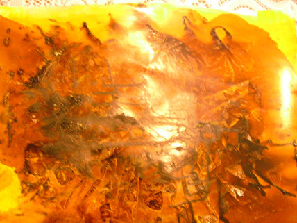 Pintura Asfáltica Y...