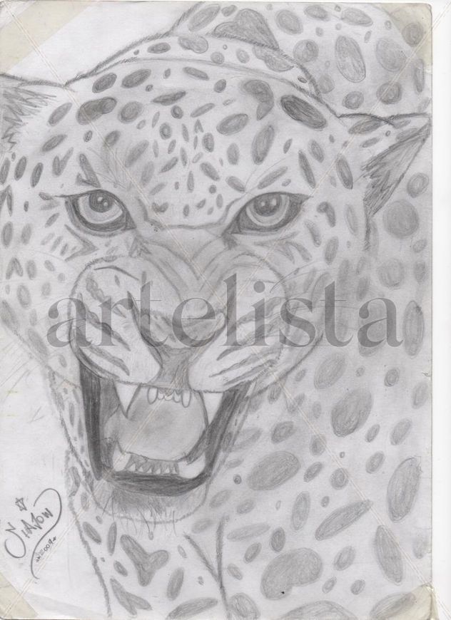 Leopardo