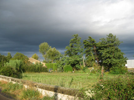 El campo