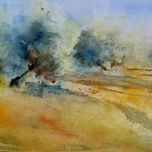 Olivos y olivares thumbnail 1