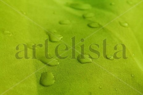Gotas de rocío
