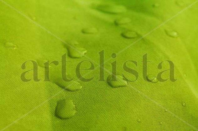 gotas de rocío