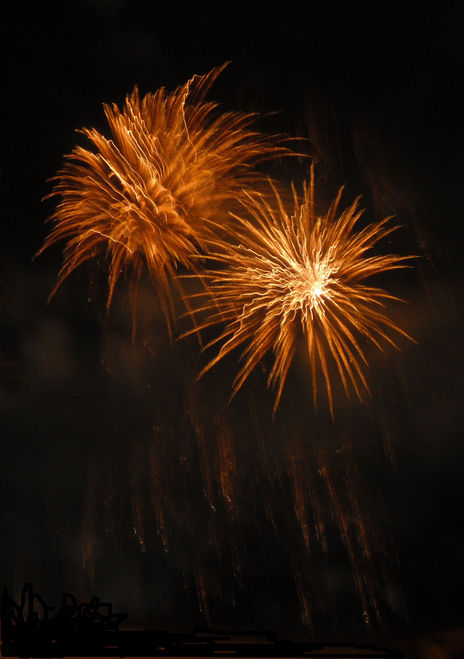 Flores de luz