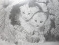 Tigritos