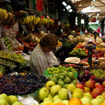 oporto 2009 thumbnail 1