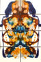 ANIMAL MARINO