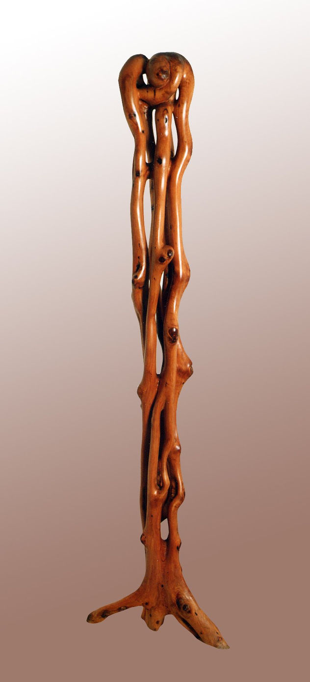 SIMBIOSIS
