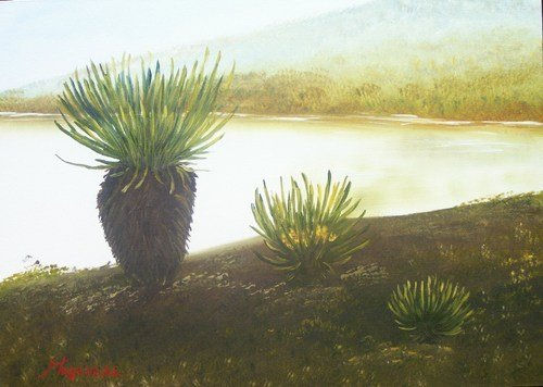 Frailejones Oil Canvas Landscaping