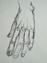 Il_28_mimano