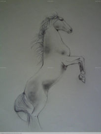 Caballo Blanco