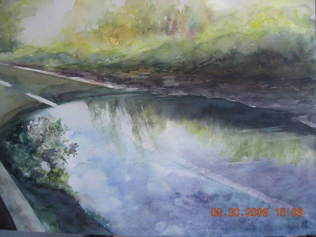 Charco Watercolour Paper Landscaping