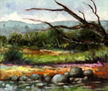 Paisajes 10