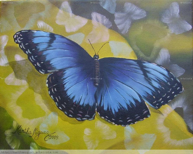 "Alitas Azules ....." Oil Canvas Animals