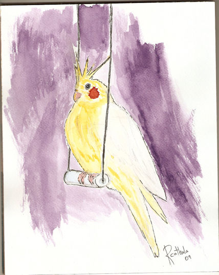 Cacatua amarilla