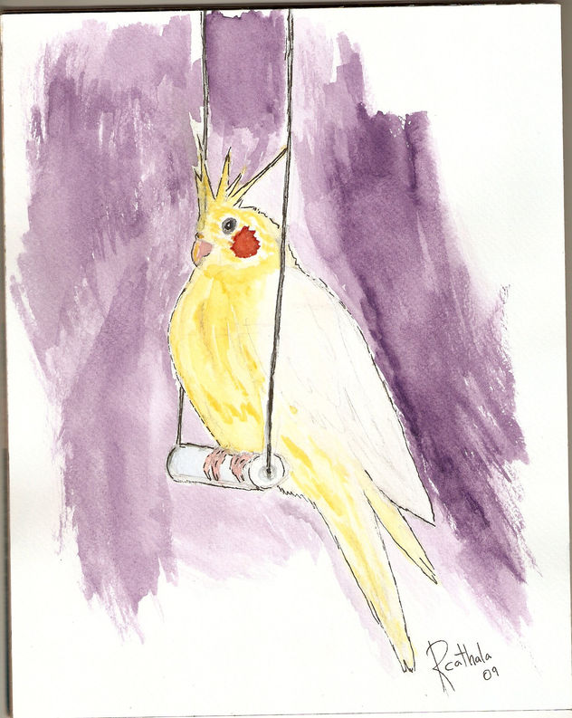 Cacatua amarilla
