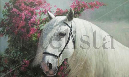 CABALLOS