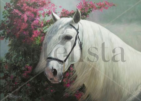 CABALLO DE P.R.E.