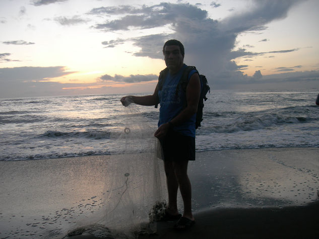 PICO, PIKIN, TORTUGUERO,COSTA RICA, SETIEMBRE DEL 2009 