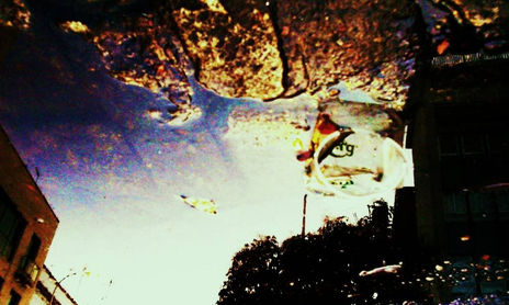 DISTORSIONES