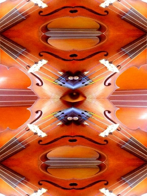 Metamorfosis del violín I