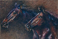 Caballos