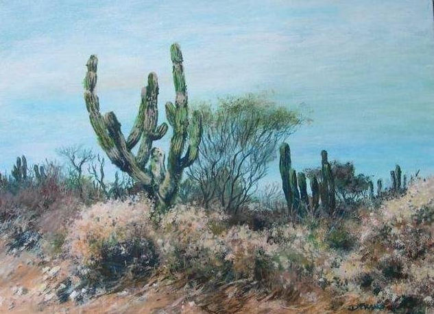 Baja California 3 Acrylic Canvas Landscaping