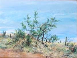 Baja California 4 Acrylic Canvas Landscaping