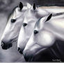 Entre grises y lilas (caballos españoles)