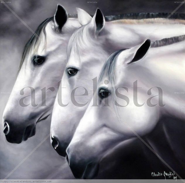 Entre grises y lilas (caballos españoles)
