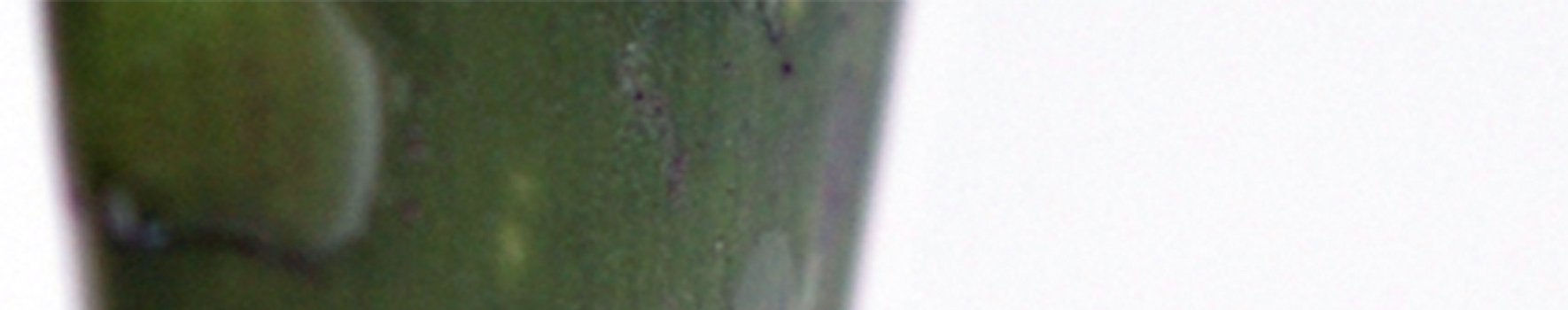 Imagen de portada