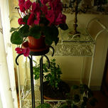 Objet trouvE thumbnail 1