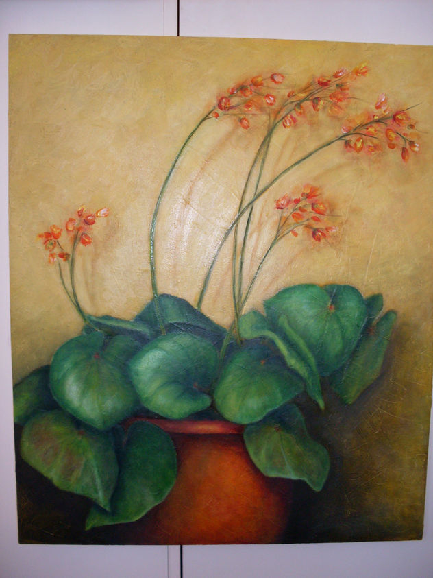 planta.