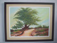 " colecc:"colores de mi region de walter ramos"