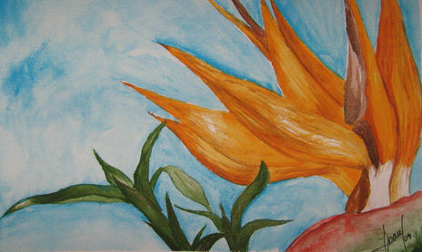 Flores