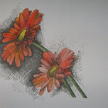 Flores thumbnail 1