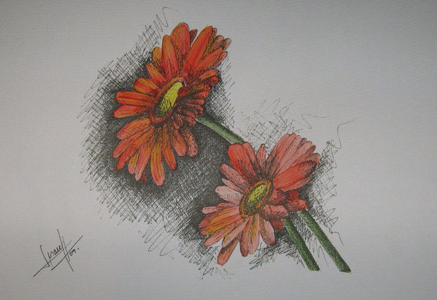 Margaritas naranjas Watercolour Paper Floral Painting