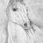 Caballos thumbnail 1