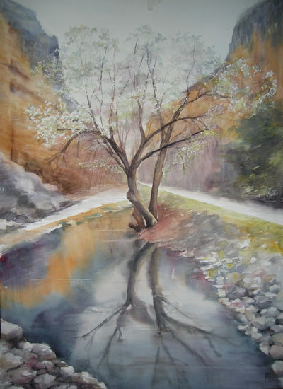 Primavera en el rio Mesa Watercolour Paper Landscaping