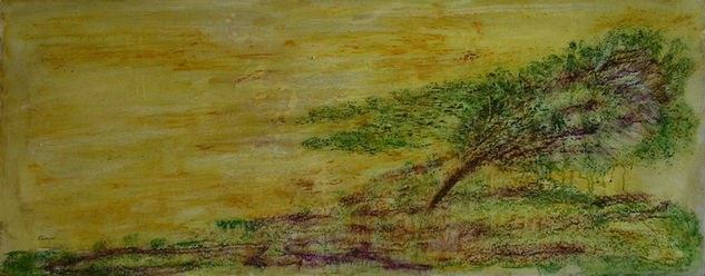 Aire Media Mixta Tabla Paisaje