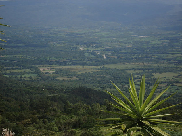 Valle Fertil 