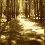 Fotografia & Softw thumbnail 2