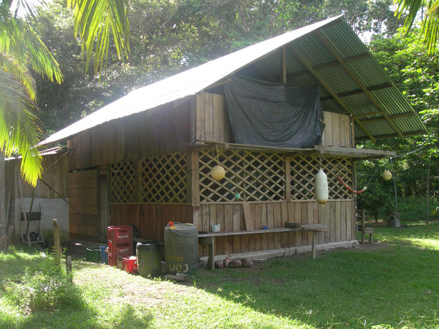 rancho de freddy fernandes en tortuguero, costa rica 