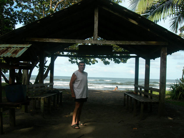 HOTEL VISTA AL MAR EN EL CERRO DE TORTUGUERO,COSTA RICA 