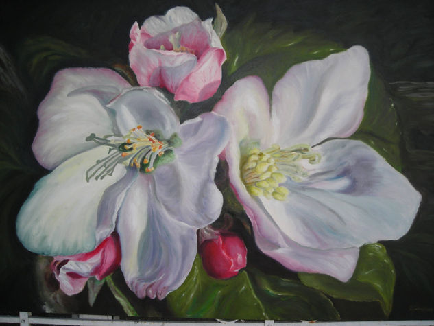 flor del manzano Oil Canvas Floral Painting