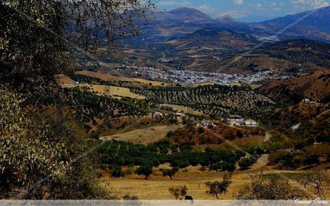 Axarquía
