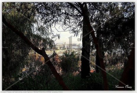 Málaga la Bella