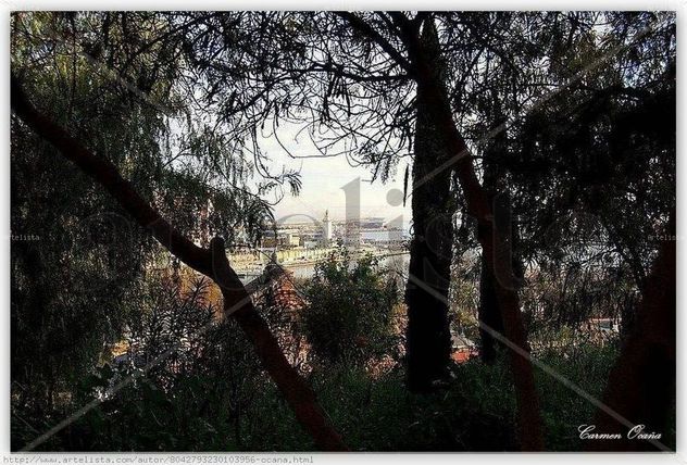 Málaga la Bella