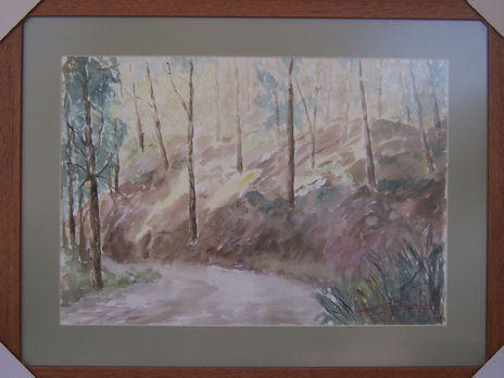 Camino