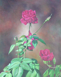 Rosas rojas